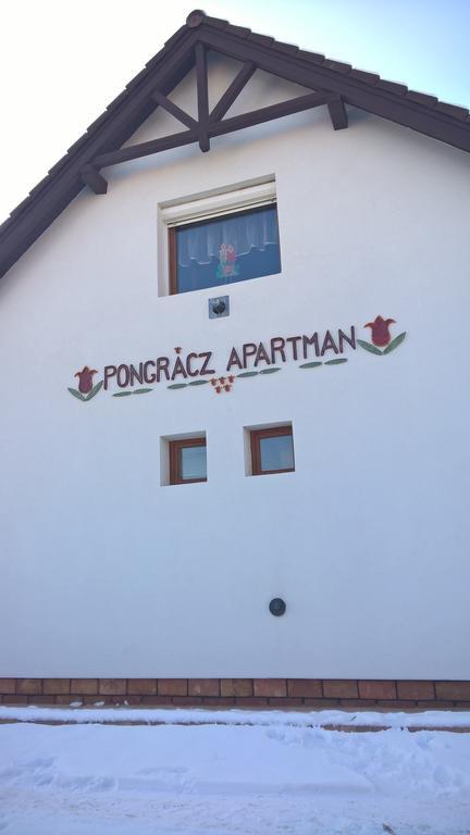 Pongracz Apartman 齐尔茨 外观 照片