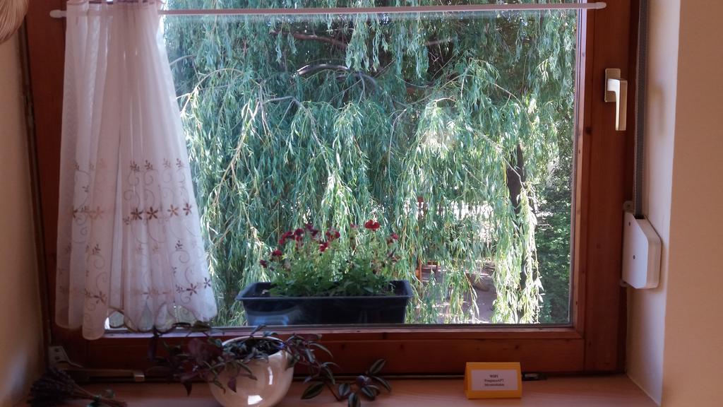 Pongracz Apartman 齐尔茨 外观 照片